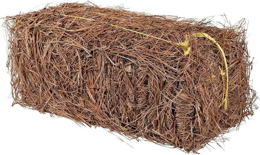 Long Leaf Square Bale- (PICKUP/LOCAL DELIVERY)