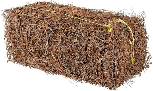 Long Leaf Square Bale- (PICKUP/LOCAL DELIVERY)