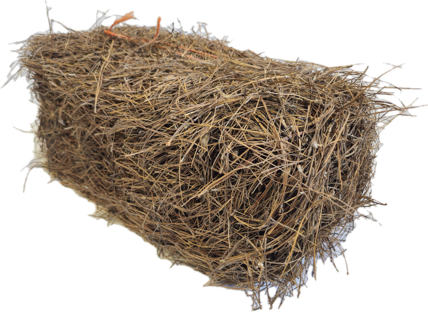 Slash Square Bale- (PICKUP/LOCAL DELIVERY)